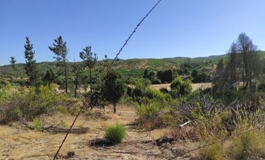 Parcelas en oferta con conexión a playas!!!!