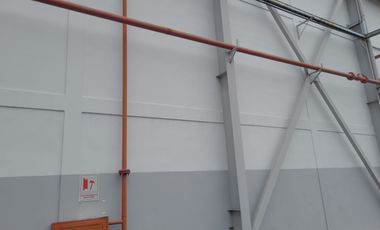 Bodega de Alquiler en la Tanca Marengo