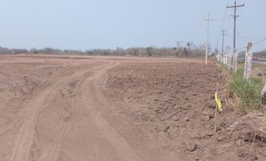 TERRENO EN RENTA CARRETERA XALAPA PASO DEL TORO