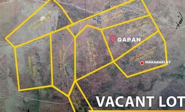 For sale 57.5 hectares lot in Brgy Makabaklay Gapan, Nueva Ecija at Ph