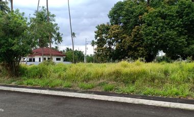 Residential Farm Lot for sale in Tiaong Quezon at Hacienda Escudero