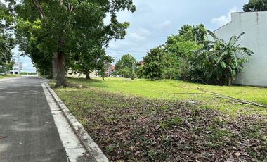 485 sqm Greenwoods Dasmarinas Cavite