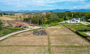(LS388-01) Nice 1+ Rai Plot of Land with Great View for Sale in Choeng Doi, Doi Saket