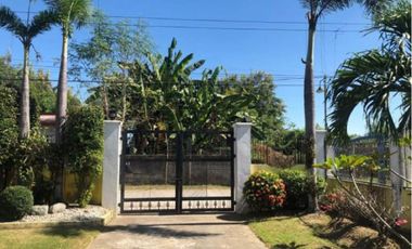 House With Spacious Lot With Big Garden in Tarlac City