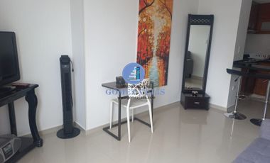 AMOBLADO SAN PIO ARRIENDO