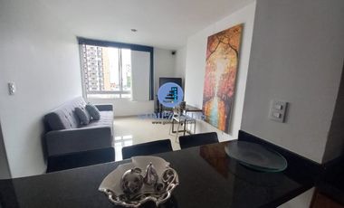 AMOBLADO SAN PIO ARRIENDO