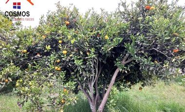 Venta de Casa en Cotacachi