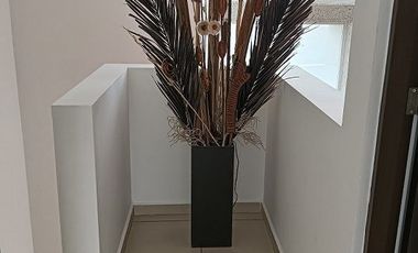 casa en renta en juriquilla cerca de UVM