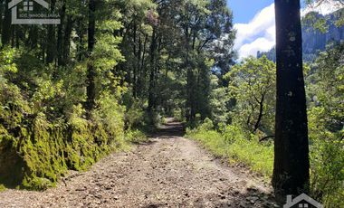 OPORTUNIDAD!!! HERMOSO TERRENO A 13 MINUTOS DE MINERAL DEL CHICO, MUY CERCA DEL ARROYO $900 el M2 BOSQUE Y VALLE