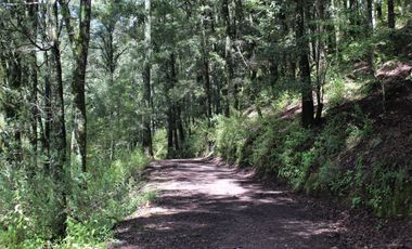 OPORTUNIDAD!!! HERMOSO TERRENO A 13 MINUTOS DE MINERAL DEL CHICO, MUY CERCA DEL ARROYO $900 el M2 BOSQUE Y VALLE