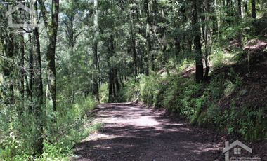 OPORTUNIDAD!!! HERMOSO TERRENO A 13 MINUTOS DE MINERAL DEL CHICO, MUY CERCA DEL ARROYO $900 el M2 BOSQUE Y VALLE