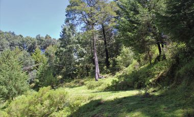 OPORTUNIDAD!!! HERMOSO TERRENO A 13 MINUTOS DE MINERAL DEL CHICO, MUY CERCA DEL ARROYO $900 el M2 BOSQUE Y VALLE