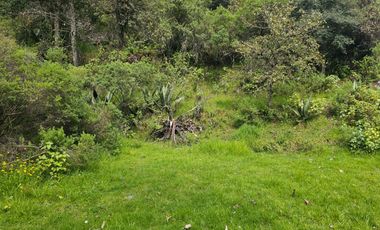 OPORTUNIDAD!!! HERMOSO TERRENO A 13 MINUTOS DE MINERAL DEL CHICO, MUY CERCA DEL ARROYO $900 el M2 BOSQUE Y VALLE