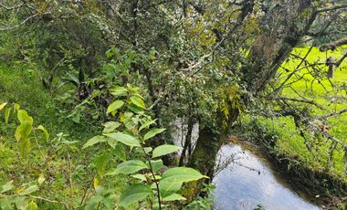 OPORTUNIDAD!!! HERMOSO TERRENO A 13 MINUTOS DE MINERAL DEL CHICO, MUY CERCA DEL ARROYO $900 el M2 BOSQUE Y VALLE