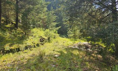 OPORTUNIDAD!!! HERMOSO TERRENO A 13 MINUTOS DE MINERAL DEL CHICO, MUY CERCA DEL ARROYO $900 el M2 BOSQUE Y VALLE