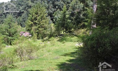 OPORTUNIDAD!!! HERMOSO TERRENO A 13 MINUTOS DE MINERAL DEL CHICO, MUY CERCA DEL ARROYO $900 el M2 BOSQUE Y VALLE