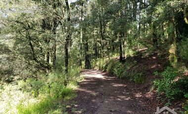 OPORTUNIDAD!!! HERMOSO TERRENO A 13 MINUTOS DE MINERAL DEL CHICO, MUY CERCA DEL ARROYO $900 el M2 BOSQUE Y VALLE