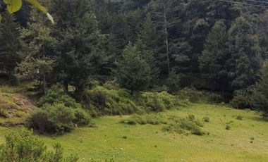 OPORTUNIDAD!!! HERMOSO TERRENO A 13 MINUTOS DE MINERAL DEL CHICO, MUY CERCA DEL ARROYO $900 el M2 BOSQUE Y VALLE