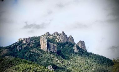 OPORTUNIDAD!!! HERMOSO TERRENO A 13 MINUTOS DE MINERAL DEL CHICO, MUY CERCA DEL ARROYO $900 el M2 BOSQUE Y VALLE