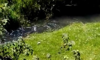 OPORTUNIDAD!!! HERMOSO TERRENO A 13 MINUTOS DE MINERAL DEL CHICO, MUY CERCA DEL ARROYO $900 el M2 BOSQUE Y VALLE