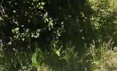 OPORTUNIDAD!!! HERMOSO TERRENO A 13 MINUTOS DE MINERAL DEL CHICO, MUY CERCA DEL ARROYO $900 el M2 BOSQUE Y VALLE