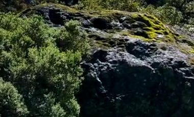 OPORTUNIDAD!!! HERMOSO TERRENO A 13 MINUTOS DE MINERAL DEL CHICO, MUY CERCA DEL ARROYO $900 el M2 BOSQUE Y VALLE