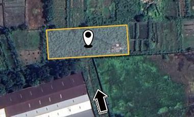 DIJUAL TANAH INDUSTRI Tanjungan Driyorejo Gresik