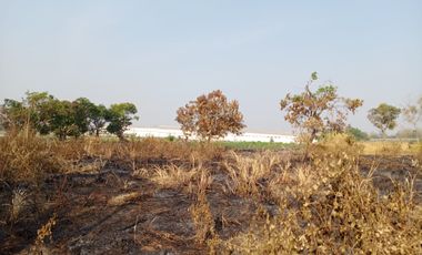 DIJUAL TANAH INDUSTRI Tanjungan Driyorejo Gresik