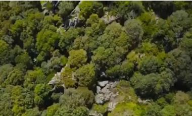 BELLISIMO TERRENO EN CARRETERA A MINERAL DEL CHICO, HIDALGO ZONA ECOTURISMO