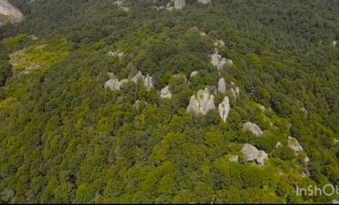 BELLISIMO TERRENO EN CARRETERA A MINERAL DEL CHICO, HIDALGO ZONA ECOTURISMO