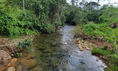 Lindas Quintas de 10.000 m2 en Pedro Vicente Maldonado con río cristalino.