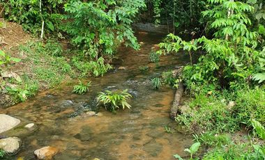 Lindas Quintas de 10.000 m2 en Pedro Vicente Maldonado con río cristalino.