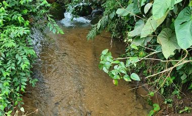 Lindas Quintas de 10.000 m2 en Pedro Vicente Maldonado con río cristalino.