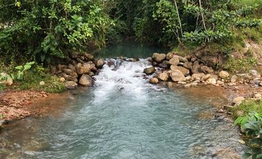 Lindas Quintas de 10.000 m2 en Pedro Vicente Maldonado con río cristalino.