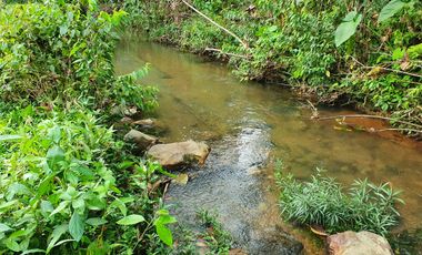 Lindas Quintas de 10.000 m2 en Pedro Vicente Maldonado con río cristalino.
