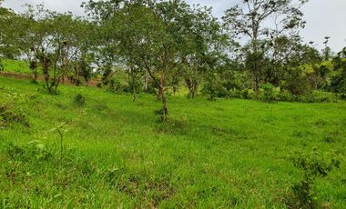 Lindas Quintas de 10.000 m2 en Pedro Vicente Maldonado con río cristalino.