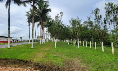 Lindas Quintas de 10.000 m2 en Pedro Vicente Maldonado con río cristalino.