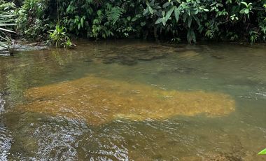 Lindas Quintas de 10.000 m2 en Pedro Vicente Maldonado con río cristalino.