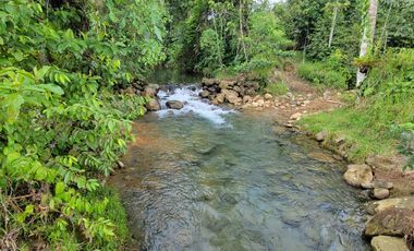 Lindas Quintas de 10.000 m2 en Pedro Vicente Maldonado con río cristalino.