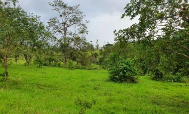 Lindas Quintas de 10.000 m2 en Pedro Vicente Maldonado con río cristalino.