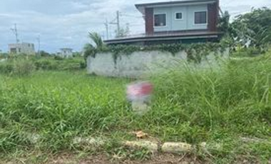 336 sqm Lot for Sale in Northfields Executive Village, Bulacan