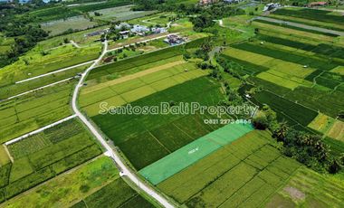 Freehold land sale 1900m² in kedungu Beraban Tabanan