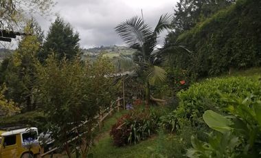 Guarne Antioquia Vereda El Sango VENTA