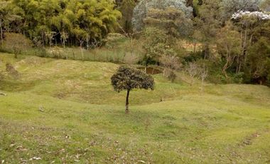 Guarne Antioquia Vereda El Sango VENTA