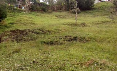 Guarne Antioquia Vereda El Sango VENTA