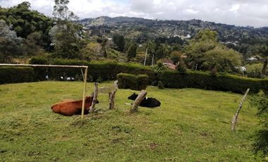 Guarne Antioquia Vereda El Sango VENTA