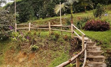 Guarne Antioquia Vereda El Sango VENTA