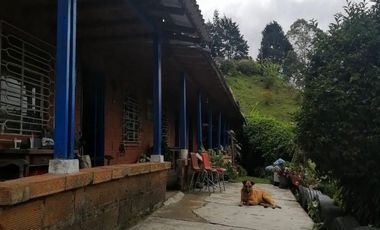 Guarne Antioquia Vereda El Sango VENTA