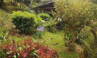 Guarne Antioquia Vereda El Sango VENTA