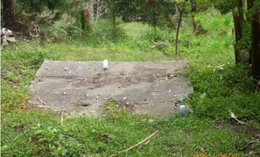 Guarne Antioquia Vereda El Sango VENTA